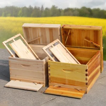 Висококачествена Дървена Пчелиное гнездо от вряща восък С Движими Дъно Обзавеждане за пчеларство Пчеларят За събиране на мед, за да проверите за пчеларството