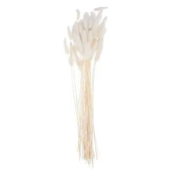 Букет/60 бр Сватбена украса Сушени билки Зайци опашката на Естествени растения, сухи цветя, за картина, като договореност
